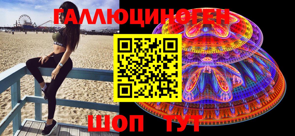 Галлюциногенные грибы Psilocybe Киров